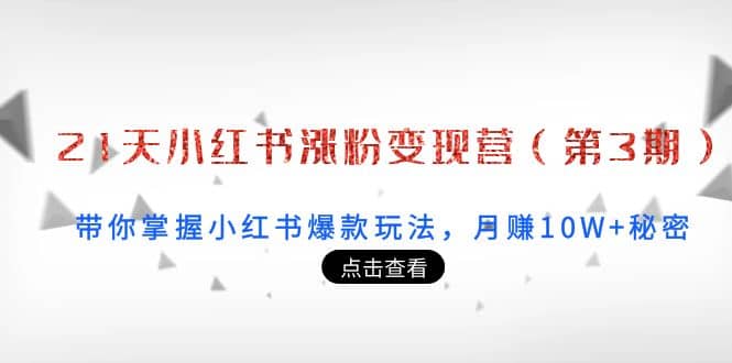 21天小红书涨粉变现营（第3期）：带你掌握小红书爆款玩法，月赚10W+秘密-扬明网创