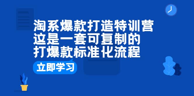 淘系爆款打造特训营：这是一套可复制的打爆款标准化流程-扬明网创