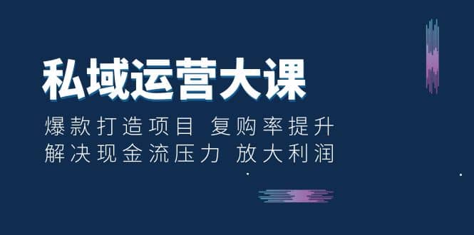 私域运营大课：爆款打造项目 复购率提升 解决现金流压力 放大利润-扬明网创