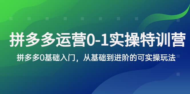 拼多多-运营0-1实操训练营，拼多多0基础入门，从基础到进阶的可实操玩法-扬明网创