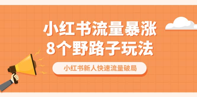 小红书流量-暴涨8个野路子玩法：小红书新人快速流量破局（8节课）-扬明网创