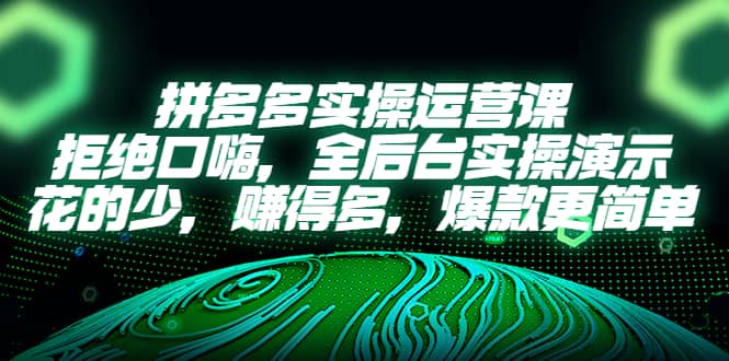 拼多多实操运营课：拒绝口嗨，全后台实操演示，花的少，赚得多，爆款更简单-扬明网创