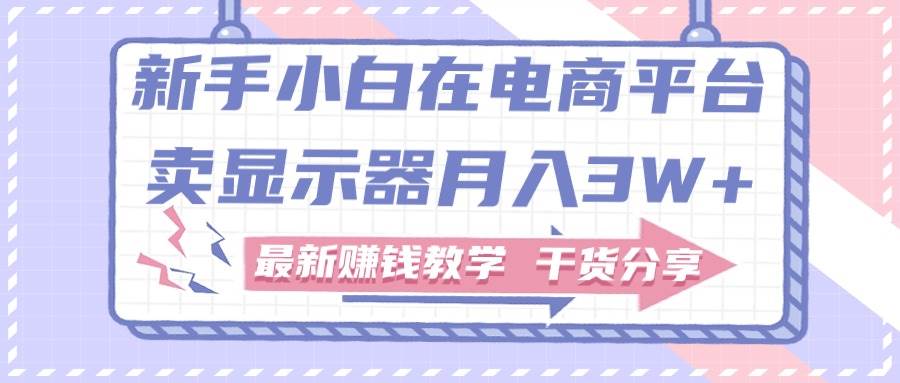 新手小白如何做到在电商平台卖显示器月入3W+，最新赚钱教学干货分享-扬明网创