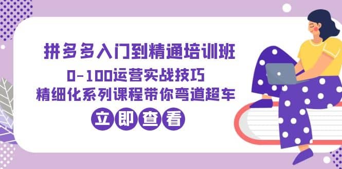 2023拼多多入门到精通培训班：0-100运营实战技巧 精细化系列课带你弯道超车-扬明网创