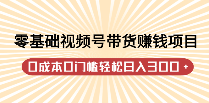 零基础视频号带货赚钱项目，0成本0门槛轻松日入300+【视频教程】-扬明网创