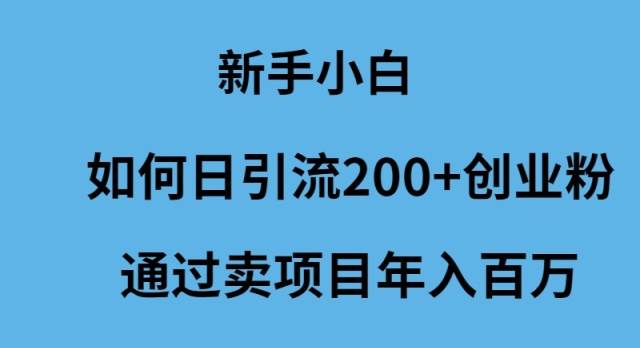 新手小白如何日引流200+创业粉通过卖项目年入百万-扬明网创