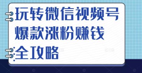 玩转微信视频号爆款涨粉赚钱全攻略，让你快速抓住流量风口，收获红利财富-扬明网创