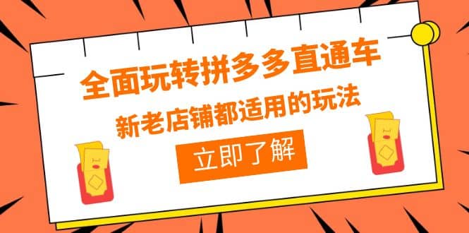 全面玩转拼多多直通车，新老店铺都适用的玩法（12节精华课）-扬明网创