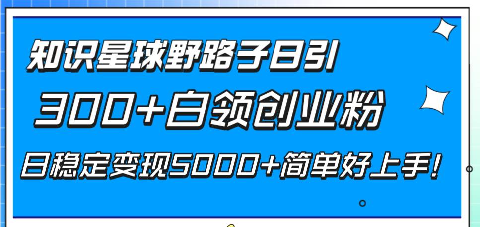 知识星球野路子日引300+白领创业粉，日稳定变现5000+简单好上手！-扬明网创