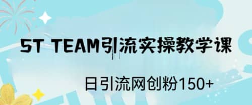 ST TEAM引流实操课，日引流网创粉100+-扬明网创