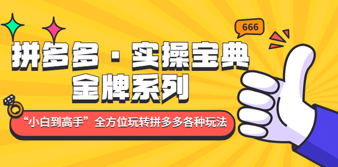 拼多多·实操宝典：金牌系列“小白到高手”带你全方位玩转拼多多各种玩法-扬明网创