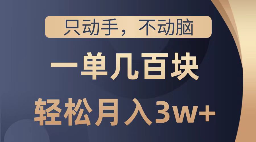 只动手不动脑，一单几百块，轻松月入2w+，看完就能直接操作，详细教程-扬明网创