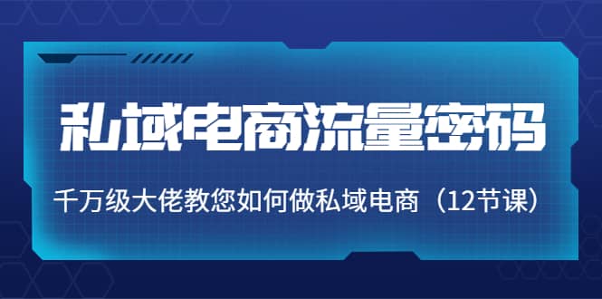 私域电商流量密码：千万级大佬教您如何做私域电商（12节课）-扬明网创