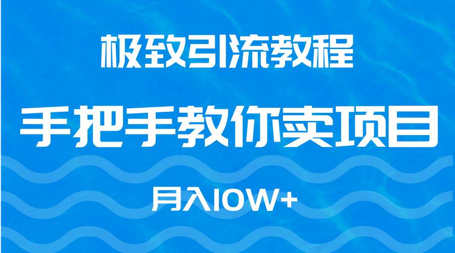 极致引流教程，手把手教你卖项目，月入10W+-扬明网创