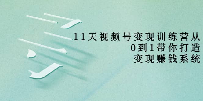 好望角·11天视频号变现训练营，从0到1打造变现赚钱系统（价值398）-扬明网创