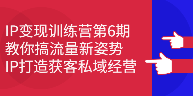 IP变现训练营第6期：教你搞流量新姿势，IP打造获客私域经营-扬明网创