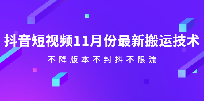 抖音短视频11月份最新搬运技术，不降版本不封抖不限流！【视频课程】-扬明网创