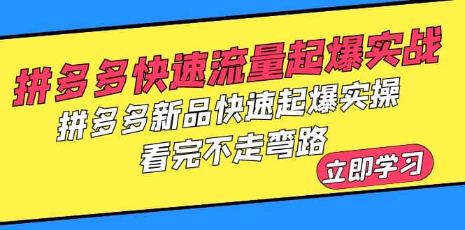 拼多多-快速流量起爆实战，拼多多新品快速起爆实操，看完不走弯路-扬明网创