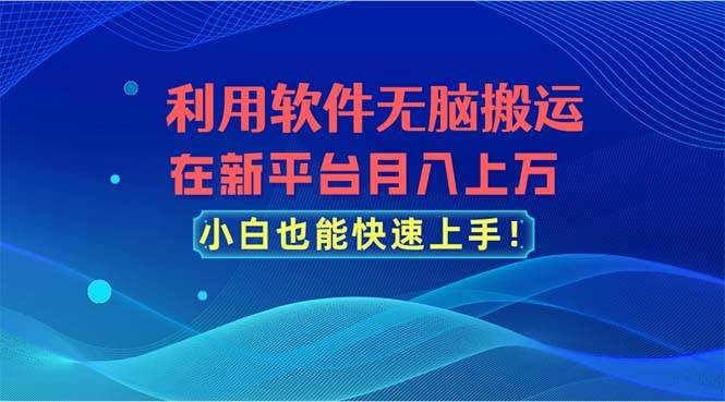 利用软件无脑搬运，在新平台月入上万，小白也能快速上手-扬明网创