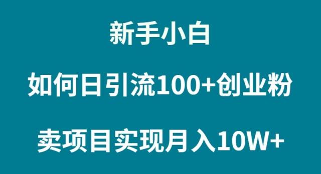 新手小白如何通过卖项目实现月入10W+-扬明网创