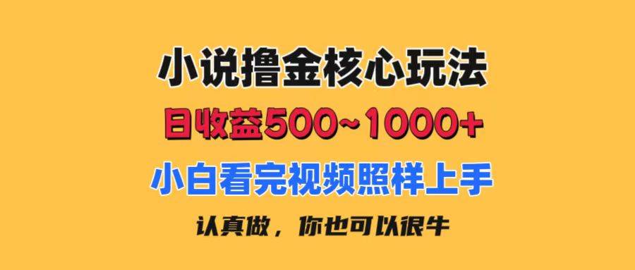 小说撸金核心玩法，日收益500-1000+，小白看完照样上手，0成本有手就行-扬明网创