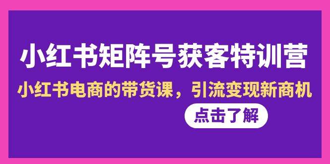 小红书-矩阵号获客特训营-第10期，小红书电商的带货课，引流变现新商机-扬明网创