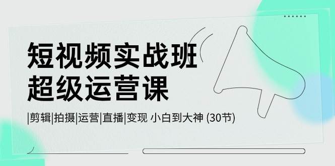 短视频实战班-超级运营课，|剪辑|拍摄|运营|直播|变现 小白到大神 (30节)-扬明网创