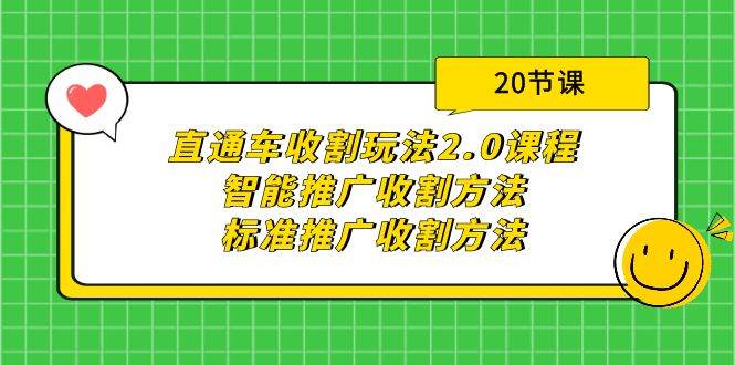 直通车收割玩法2.0课程：智能推广收割方法+标准推广收割方法（20节课）-扬明网创