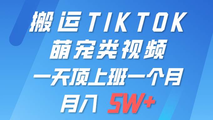 一键搬运TIKTOK萌宠类视频 一部手机即可操作 所有平台均可发布 轻松月入5W+-扬明网创