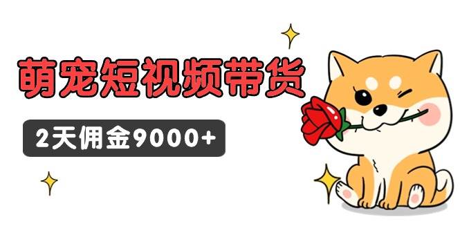 东哲日记·萌宠短视频带货，2天佣金9000+-扬明网创