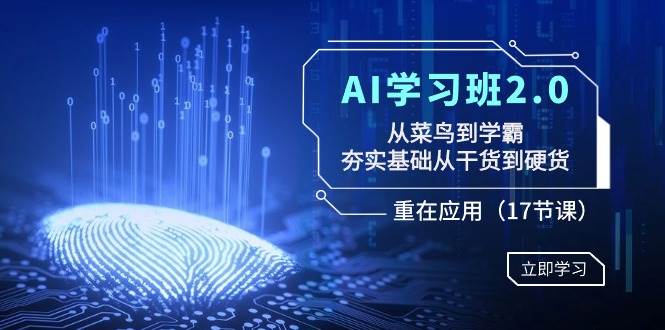 AI学习班2.0：从菜鸟到学霸，夯实基础从干货到硬货，重在应用（17节课）-扬明网创