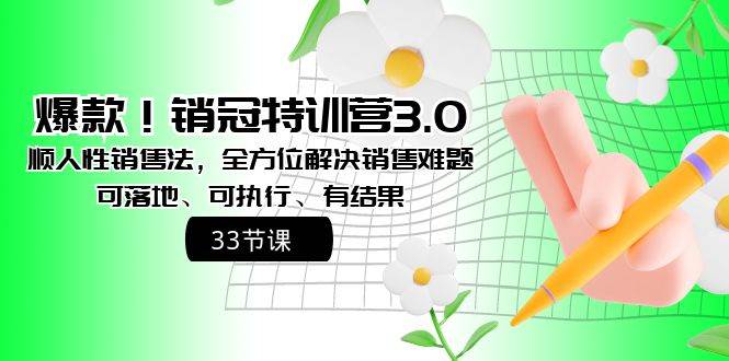 爆款！销冠特训营3.0之顺人性销售法，全方位解决销售难题、可落地、可执行、有结果-扬明网创