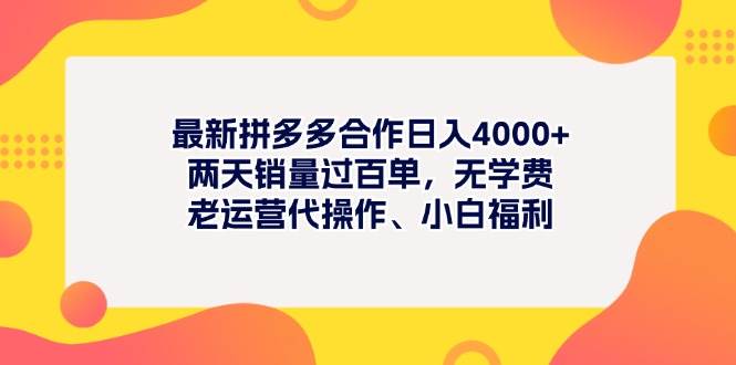 最新拼多多项目日入4000+两天销量过百单，无学费、老运营代操作、小白福利-扬明网创