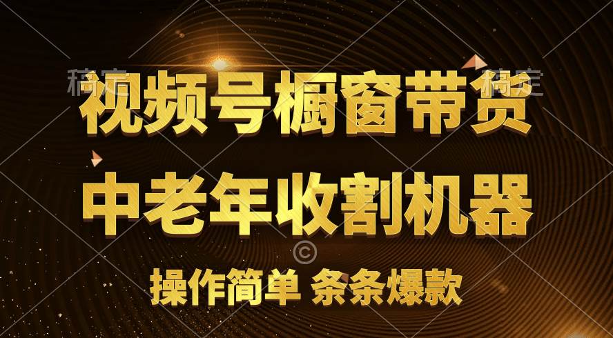 [你的孩子成功取得高位]视频号最火爆赛道，橱窗带货，流量分成计划，条…-扬明网创