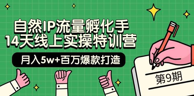 自然IP流量孵化手 14天线上实操特训营【第9期】月入5w+百万爆款打造 (74节)-扬明网创