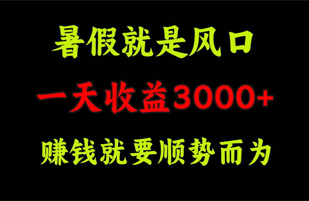 一天收益3000+ 赚钱就是顺势而为，暑假就是风口-扬明网创