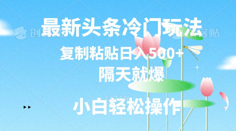 最新头条冷门玩法，隔天就爆，复制粘贴日入500+-扬明网创