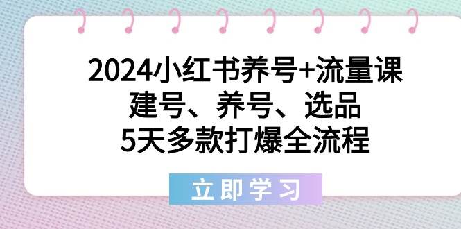 2024小红书养号+流量课：建号、养号、选品，5天多款打爆全流程-扬明网创