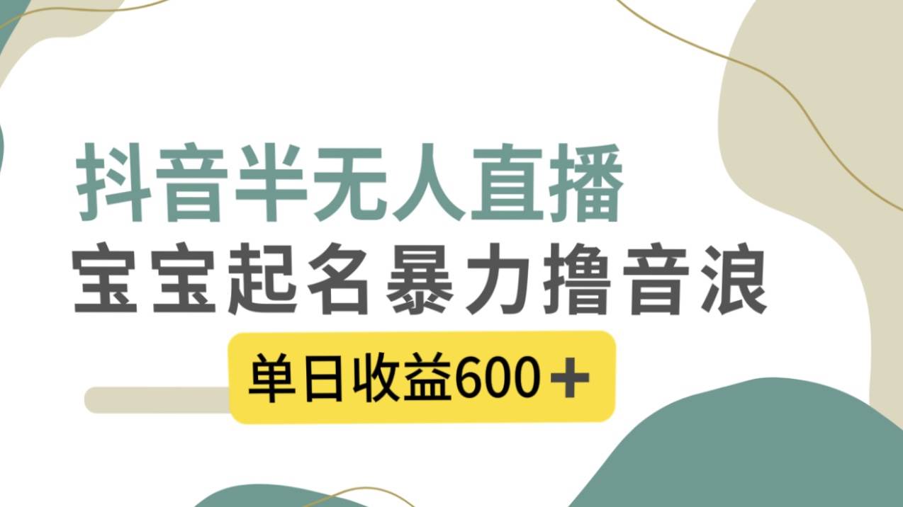 抖音半无人直播，宝宝起名，暴力撸音浪，单日收益600+-扬明网创