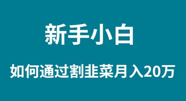 新手小白如何通过割韭菜月入 20W-扬明网创