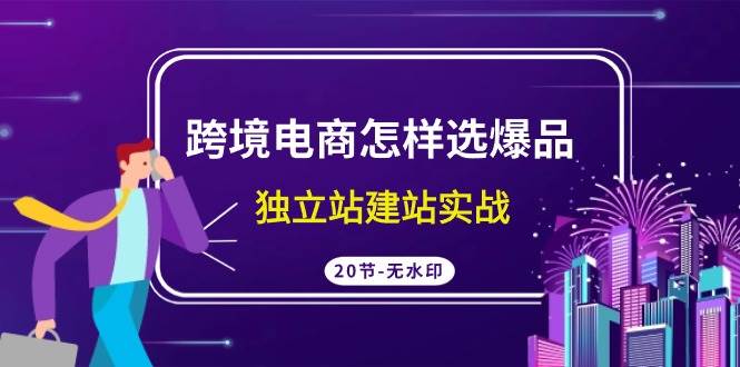 跨境电商怎样选爆品，独立站建站实战（20节高清无水印课）-扬明网创