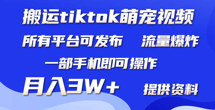 搬运Tiktok萌宠类视频，一部手机即可。所有短视频平台均可操作，月入3W+-扬明网创