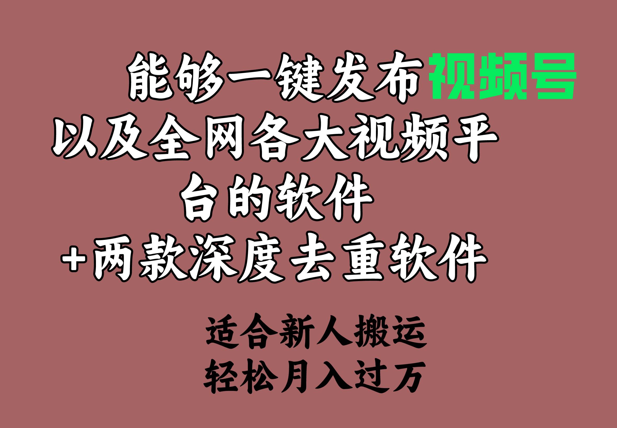 能够一键发布视频号以及全网各大视频平台的软件+两款深度去重软件 适合…-扬明网创