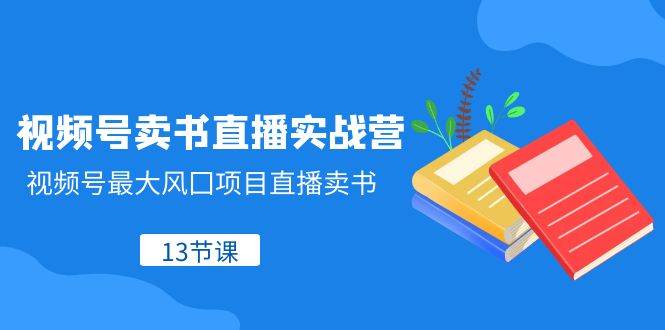 视频号-卖书直播实战营，视频号最大风囗项目直播卖书（13节课）-扬明网创