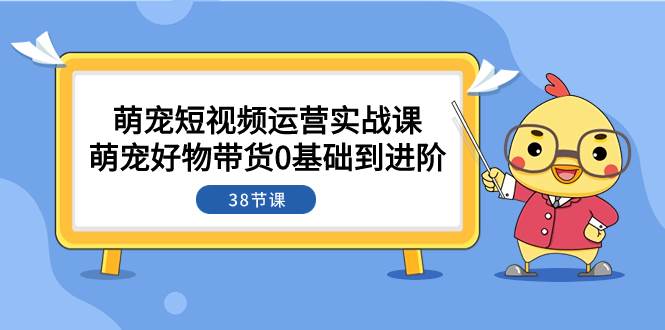 萌宠·短视频运营实战课：萌宠好物带货0基础到进阶（38节课）-扬明网创