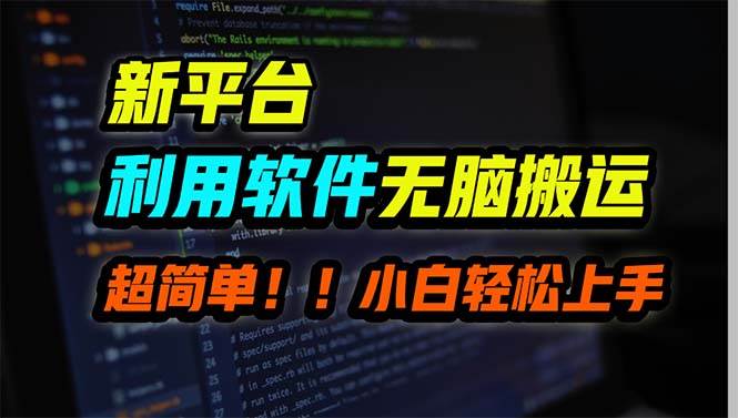 新平台用软件无脑搬运，月赚10000+，小白也能轻松上手-扬明网创