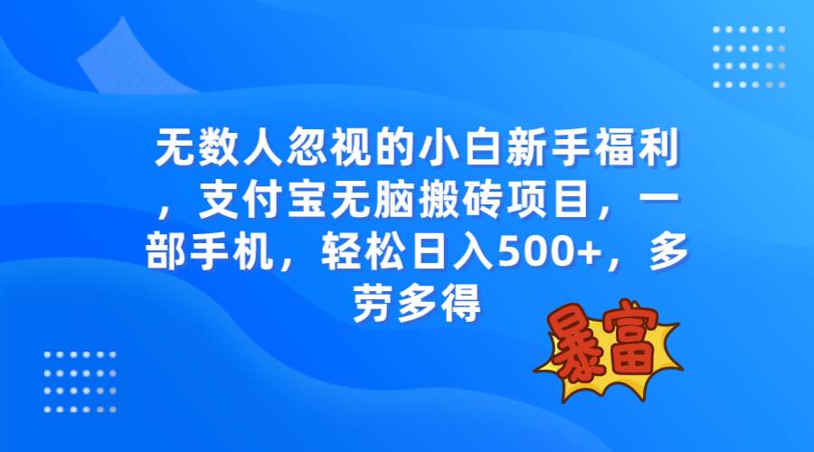 无数人忽视的项目，支付宝无脑搬砖项目，一部手机即可操作，轻松日入500+-扬明网创