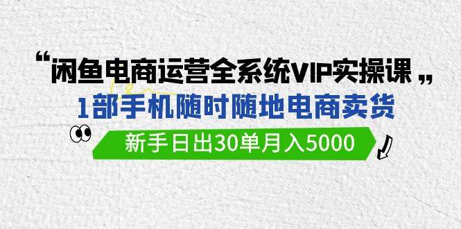 闲鱼电商运营全系统VIP实战课，1部手机随时随地卖货，新手日出30单月入5000-扬明网创