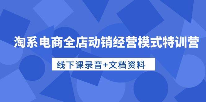 淘系电商全店动销经营模式特训营，线下课录音+文档资料-扬明网创