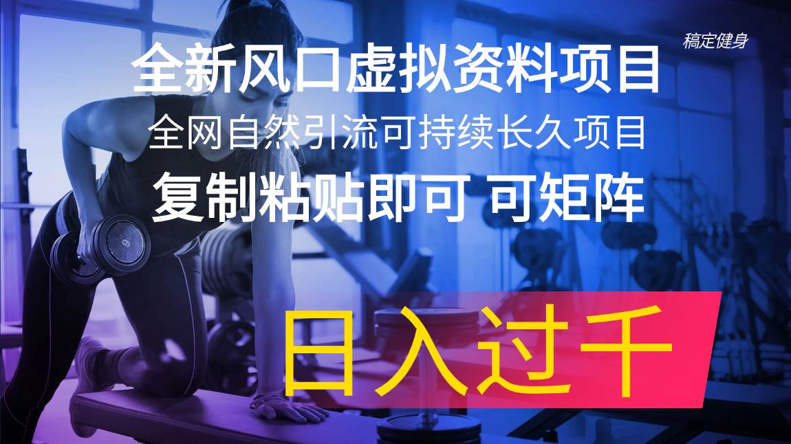 全新风口虚拟资料项目 全网自然引流可持续长久项目 复制粘贴即可可矩阵…-扬明网创